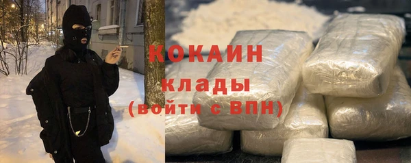 PSILOCYBIN Осташков