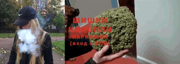 PSILOCYBIN Осташков