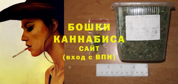 PSILOCYBIN Осташков