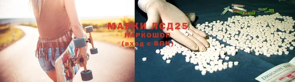 PSILOCYBIN Осташков
