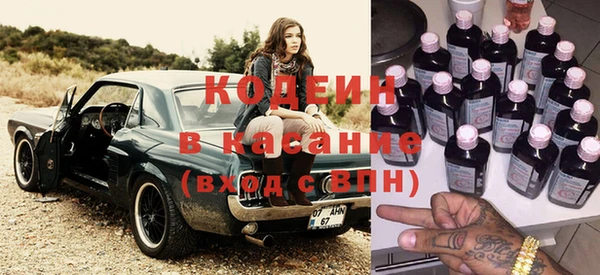 хмурый Осинники