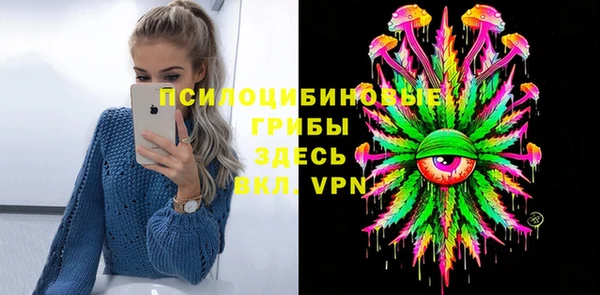 хмурый Осинники