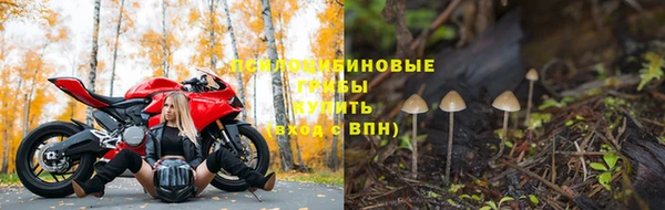 стафф Вяземский